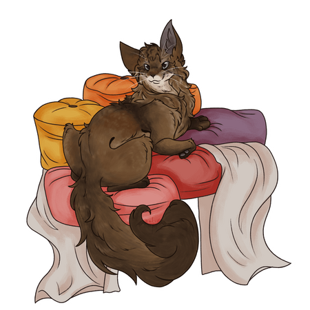 Little cat