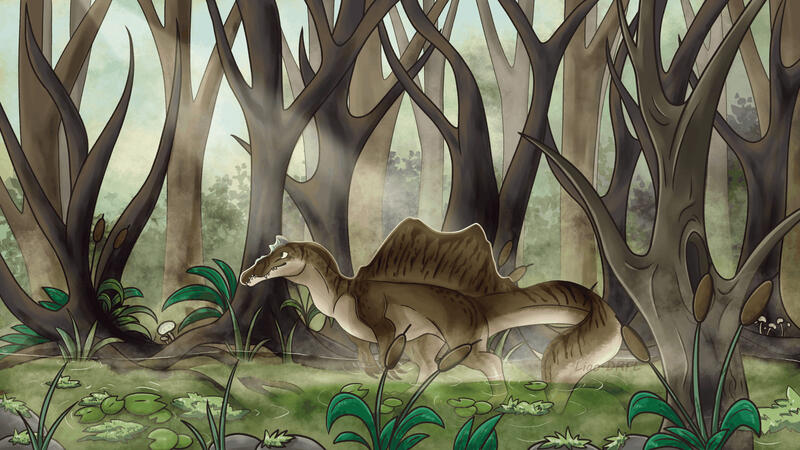 Spinosaurus aegyptiacus